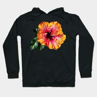 Hibiscus - Orange and Red Hibiscus Hoodie